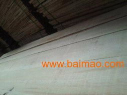 俄羅斯進(jìn)口無節(jié)樟子松與優(yōu)質(zhì)樺木寬板 家裝建材的理想選擇